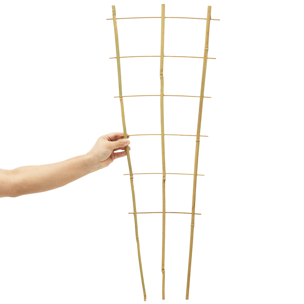 Taoskai 3ft trellis suitable for indoor and outdoor use