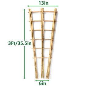 Taoskai fan-shaped trellis provides strong wind-resistant support for tomatoes