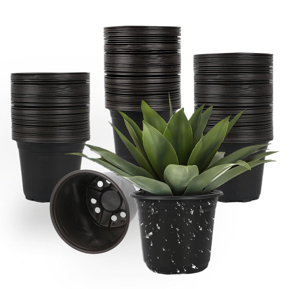TAQIXI 100-pack 5-inch nursery pots on display for bulk seed starting.
