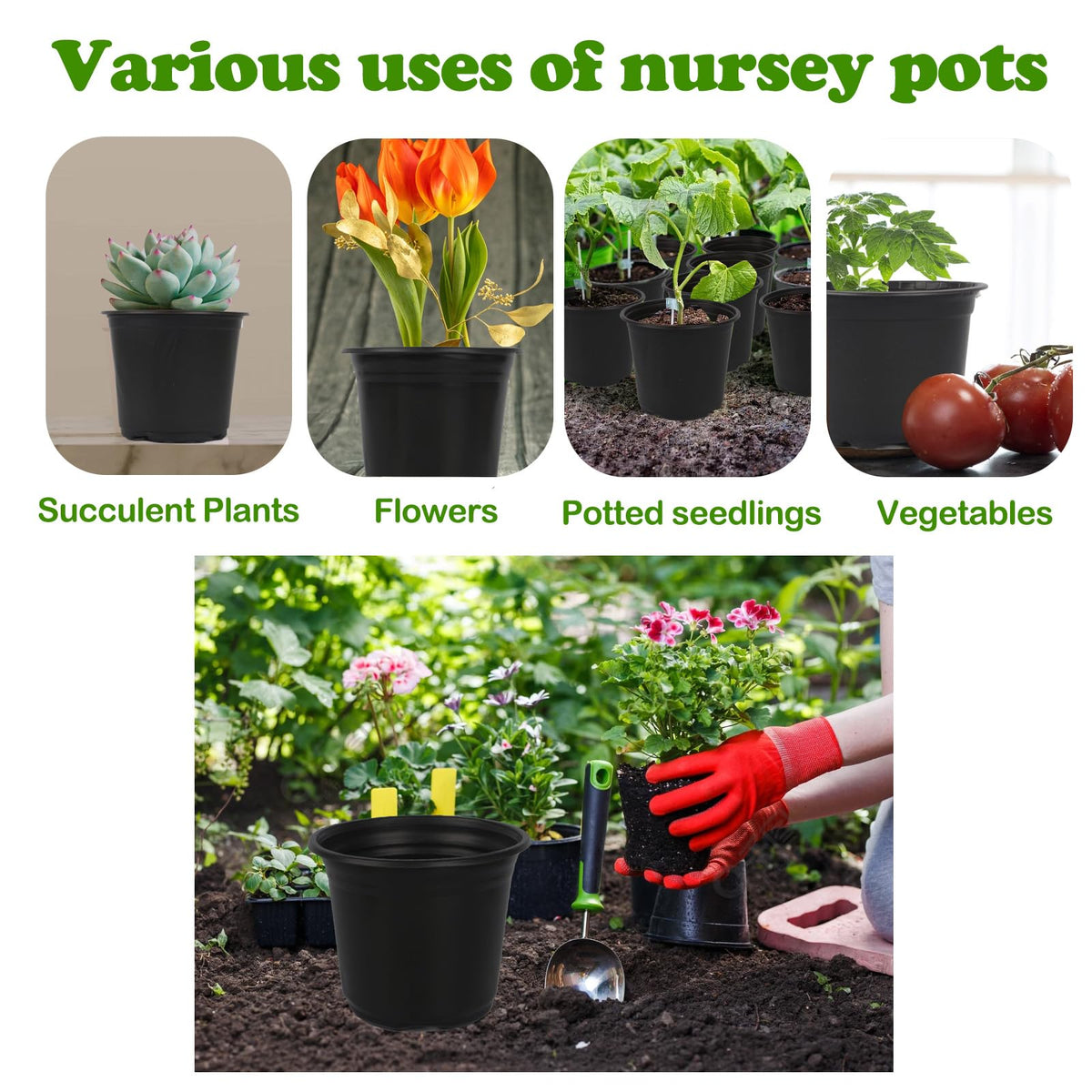 TAQIXI break-resistant nursery pots for long-lasting garden use.