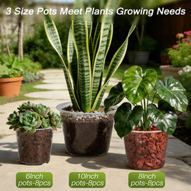 TAQIXI 10-inch clear nursery pot suitable for larger plants and root monitoring.