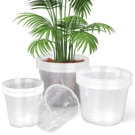 TAQIXI 6-inch clear nursery pot for easy root monitoring and quick transplanting.