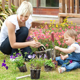 TAQIXI clear nursery pot set helps monitor watering and root health at a glance.