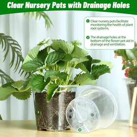 TAQIXI reusable plastic pots offer durable, season-after-season gardening.