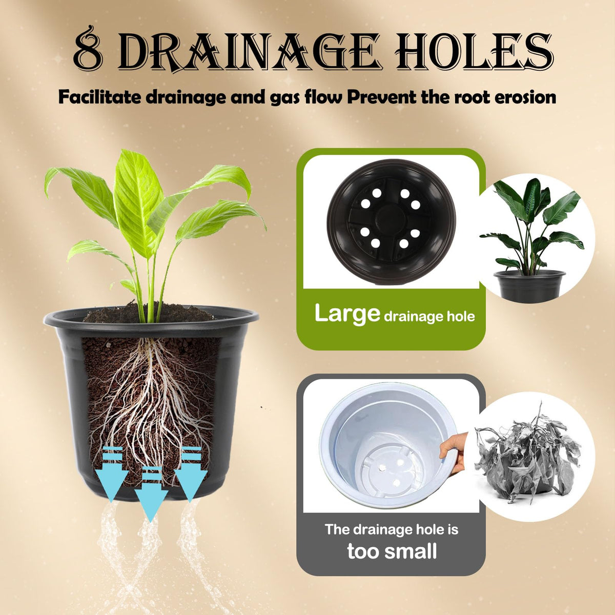 TAQIXI nursery pot with drainage holes for healthy root airflow.