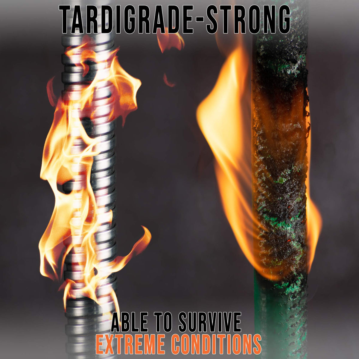 Tardigrade Steel Hose kink-free design maintains steady water flow.