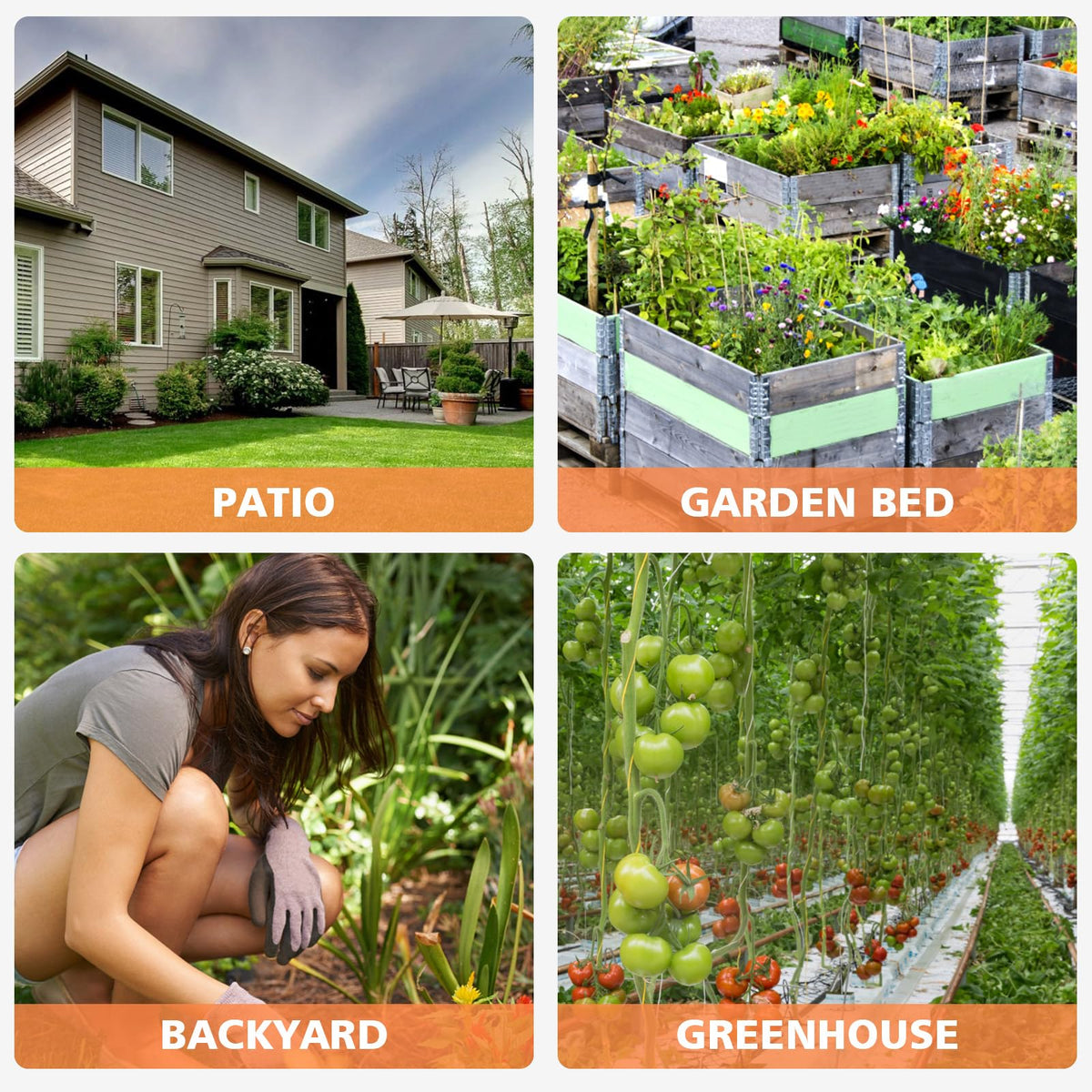 Tardiy gardening gift idea for enthusiasts