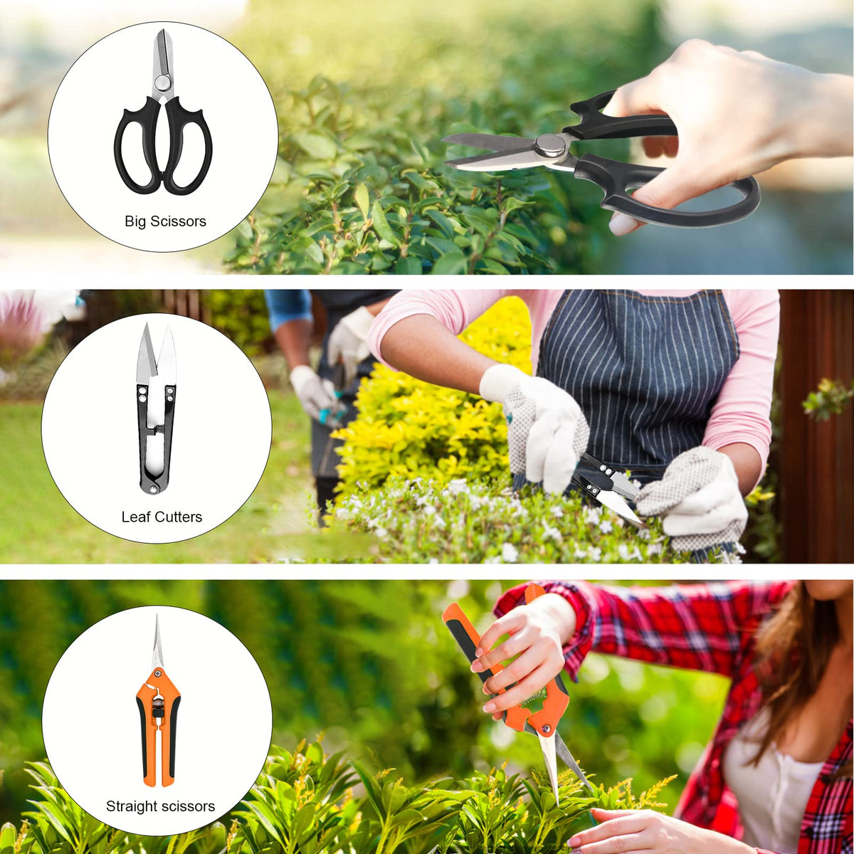 Taschyas bonsai scissors 304 stainless steel deliver sharp durable pruning performance