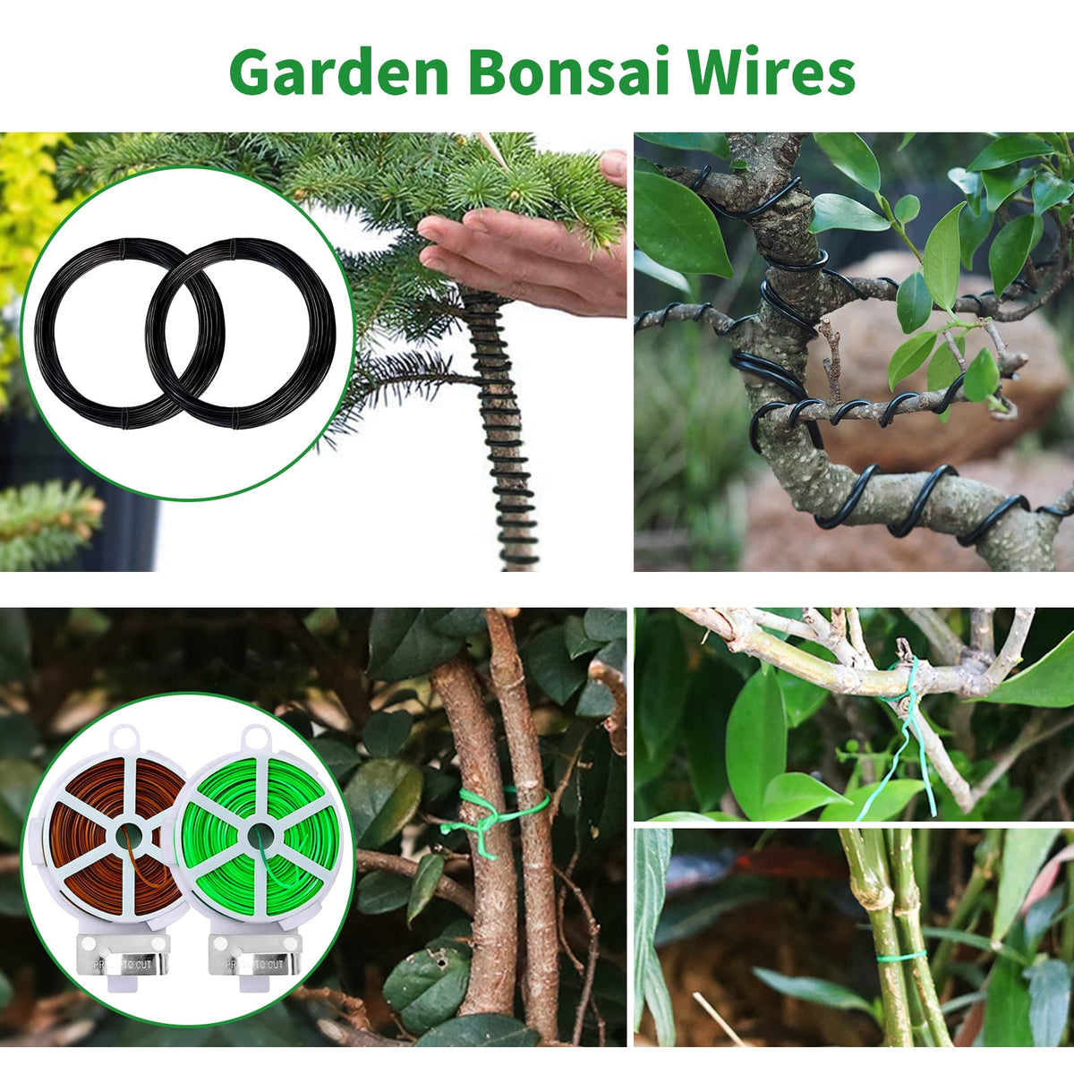 Taschyas Big Bonsai Scissors ideal for pruning and shaping.