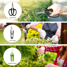 Taschyas Straight Scissors for clean cuts on branches.