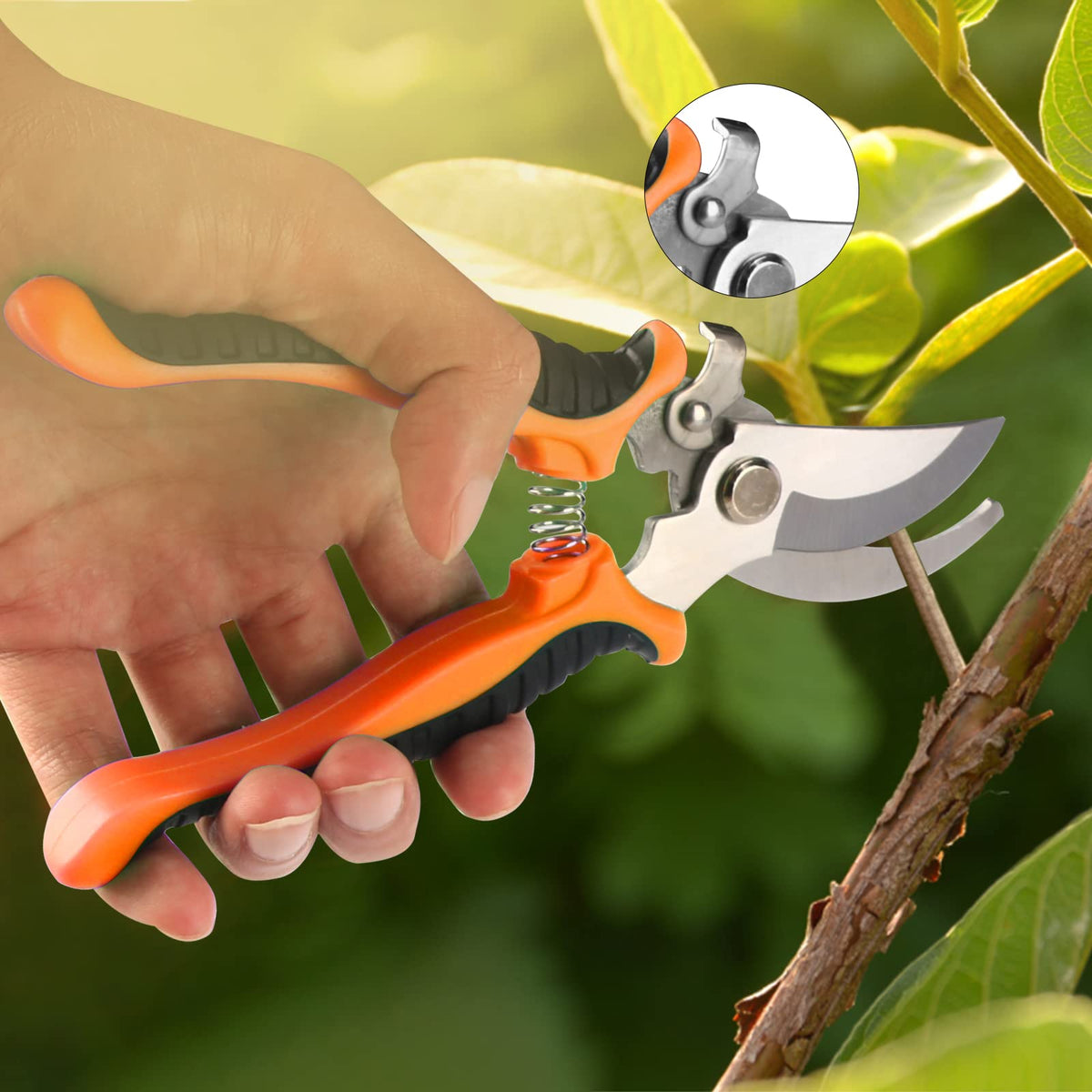 Taschyas straight bonsai scissors for precise cuts on stems and roots