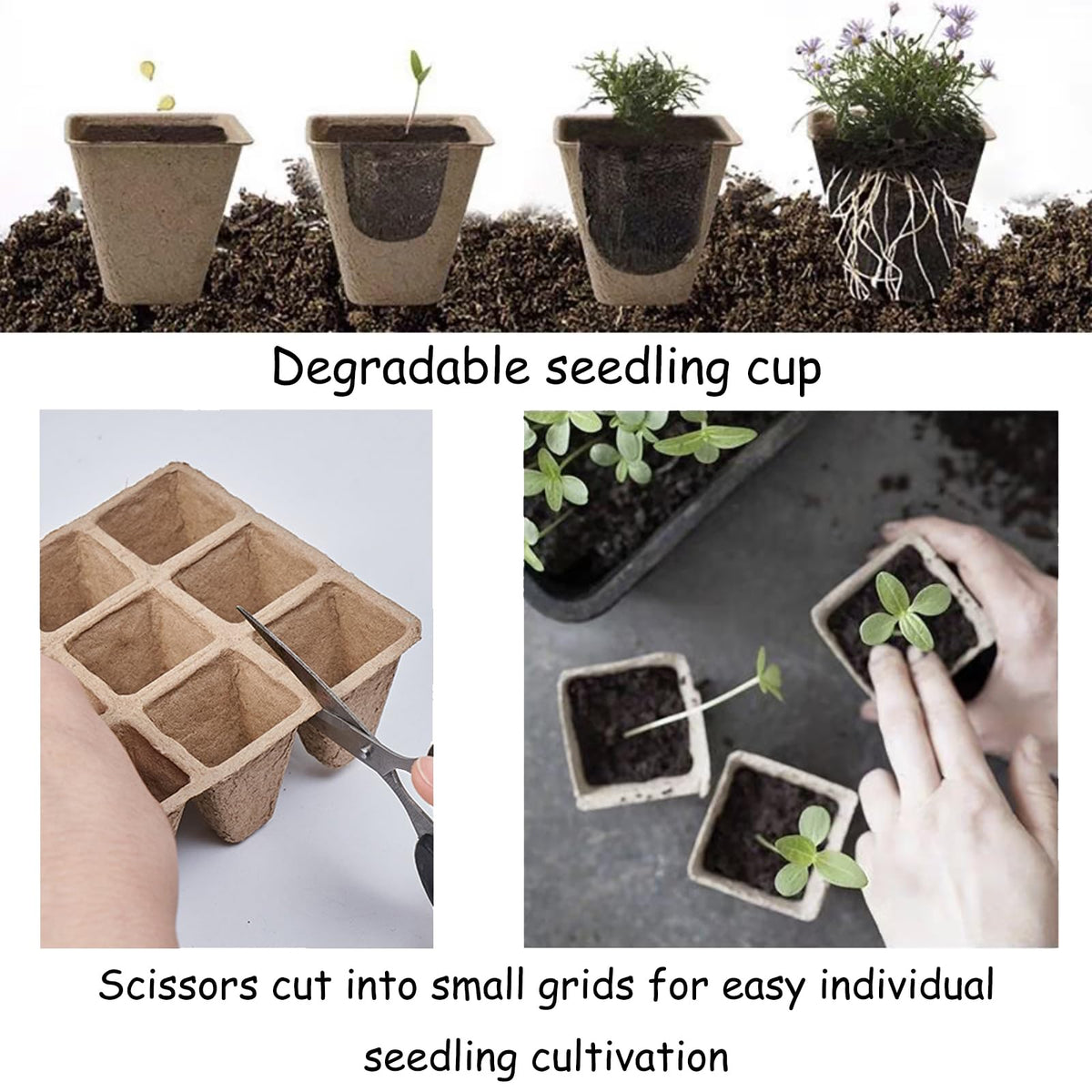 Tatibana indoor-outdoor seed starter tray for versatile planting
