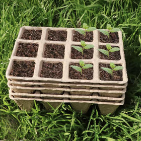Tatibana multi-use seed tray suitable for herbs, vegetables, and more