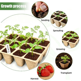 Tatibana seed tray labels for clear variety tracking