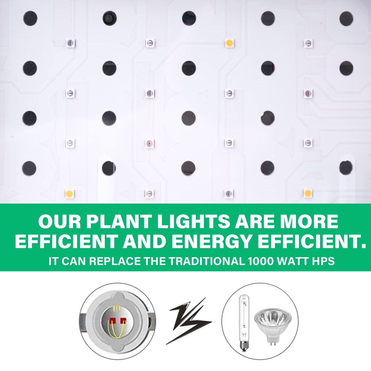 TATU 1000W LED grow light in a grow tent for hydroponics