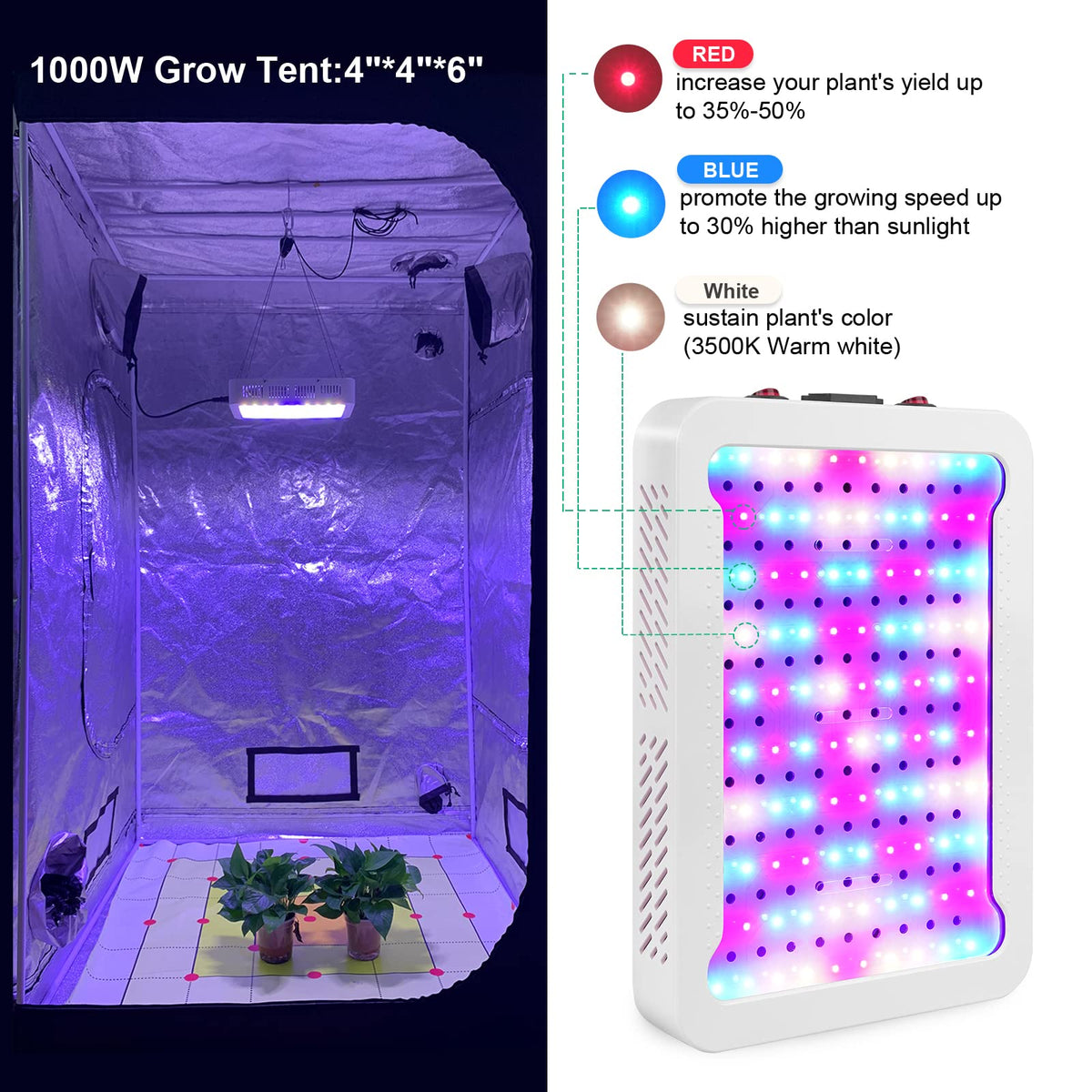 TATU 1000W LED grow light LED array closeup shows vivid diodes