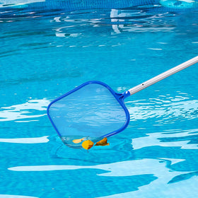 Tavaleu Pool Skimmer ideal for leaves and algae in water features