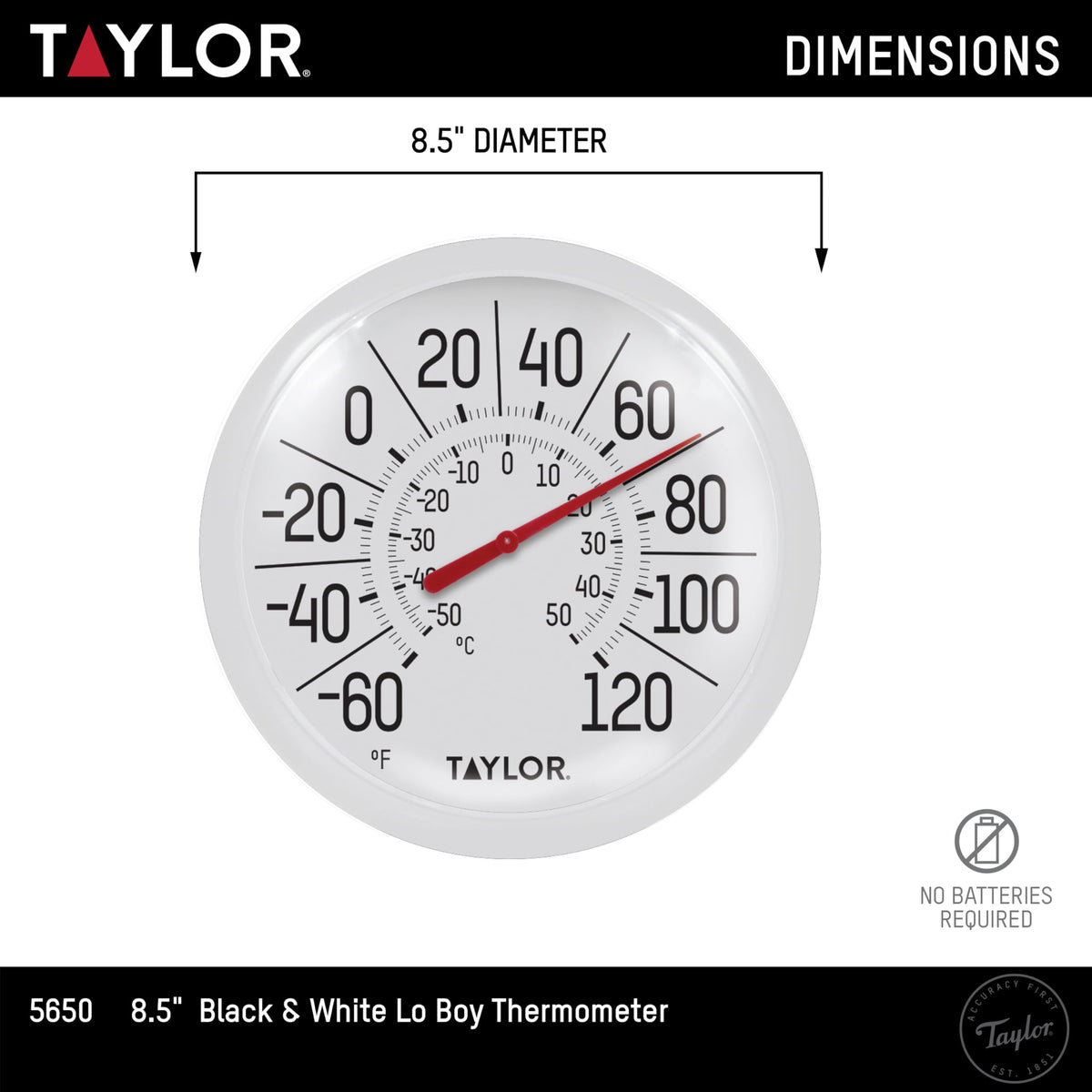 Taylor Big & Bold dial closeup highlights shatterproof design and accurate display