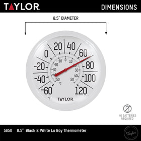 Taylor Big & Bold dial closeup highlights shatterproof design and accurate display