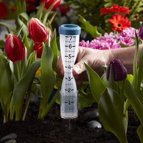 Taylor rainfall monitor helps plan garden and lawn irrigation