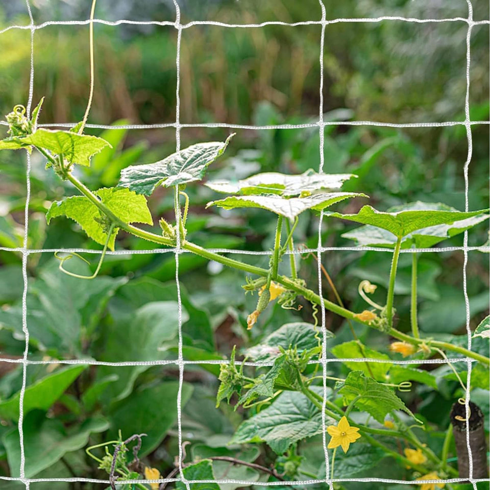 TCamp Garden Trellis Netting supports climbing plants in a 5x15 ft layout.