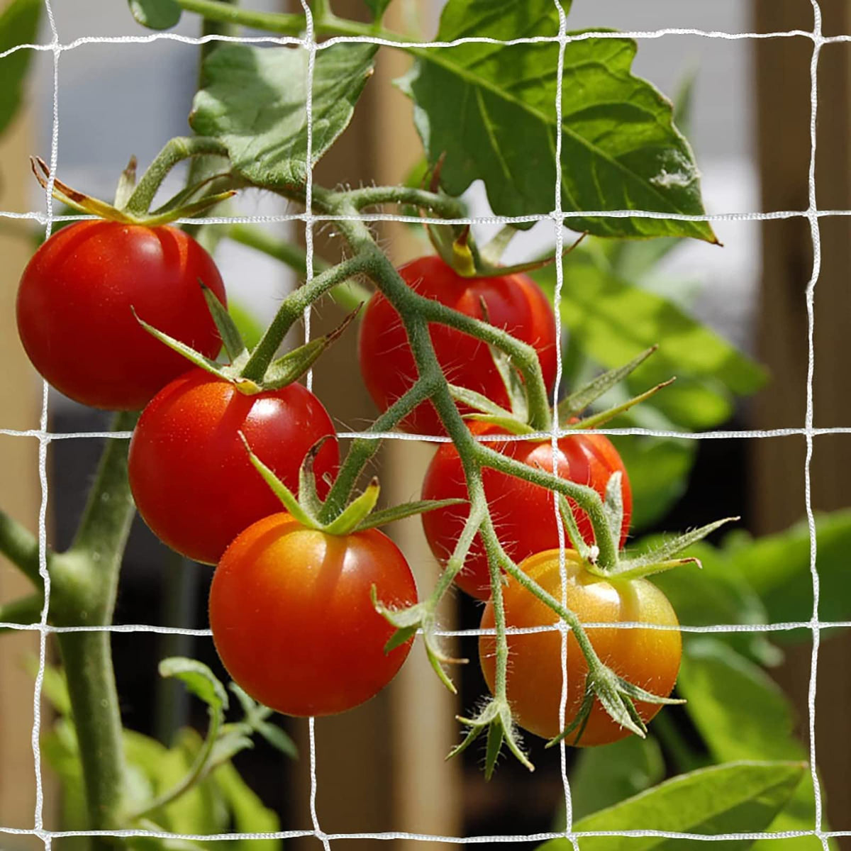 Tcamp safety netting is kid- and pet-friendly with no sharp edges