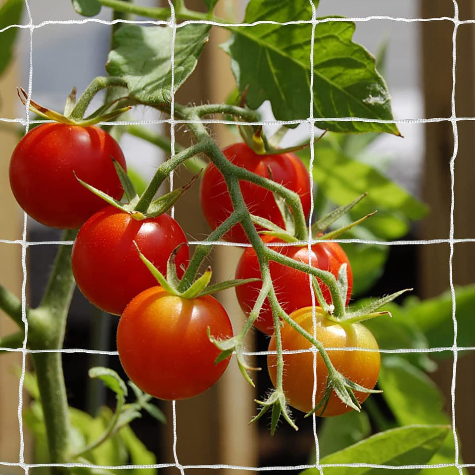 TCamp heavy-duty nylon trellis netting stretched over a frame for vine support.