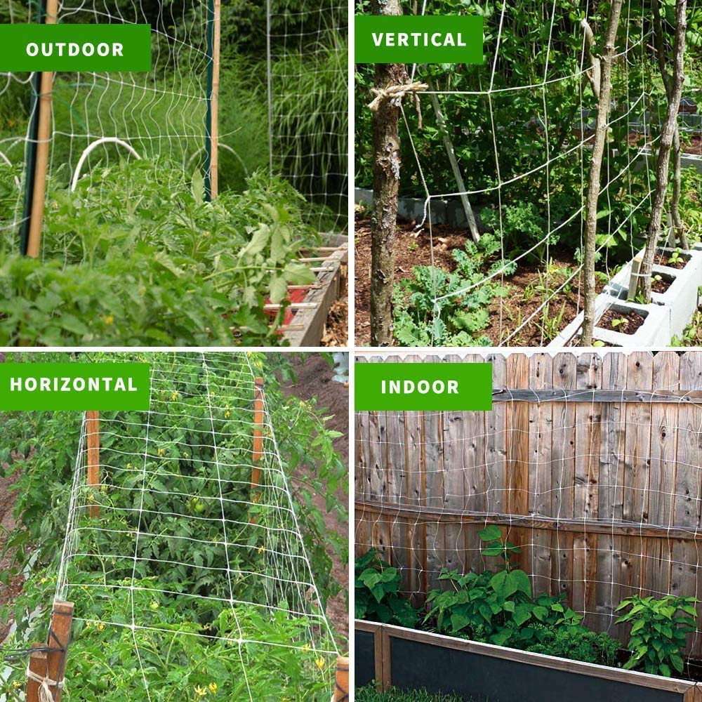 Tcamp netting used for vertical and horizontal plant support