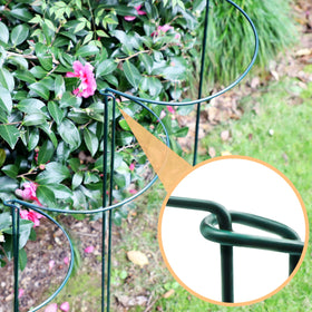 TCBWFY 10-pack plant supports simplify setup and reuse