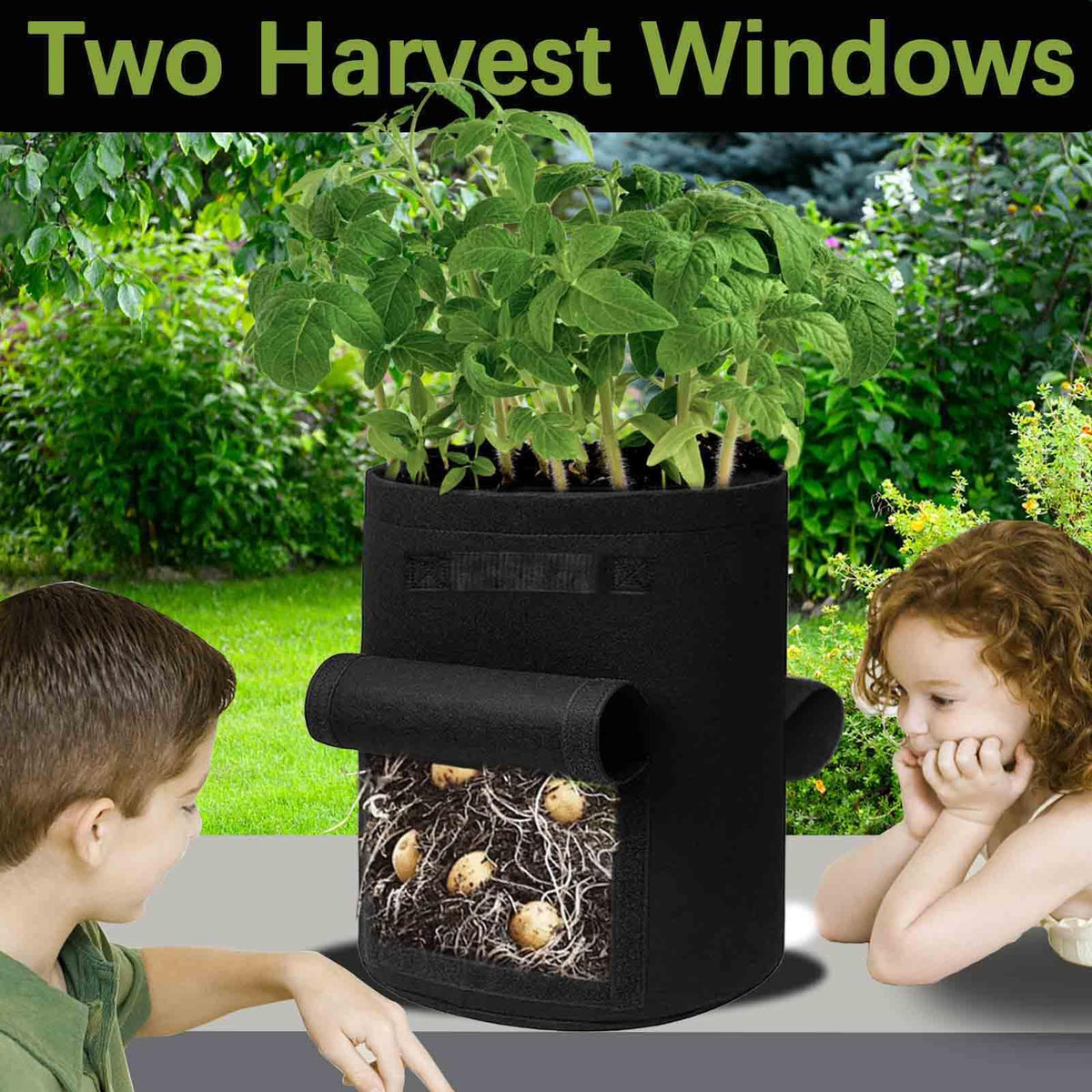 TCBWFY 15 gallon capacity supports larger root systems