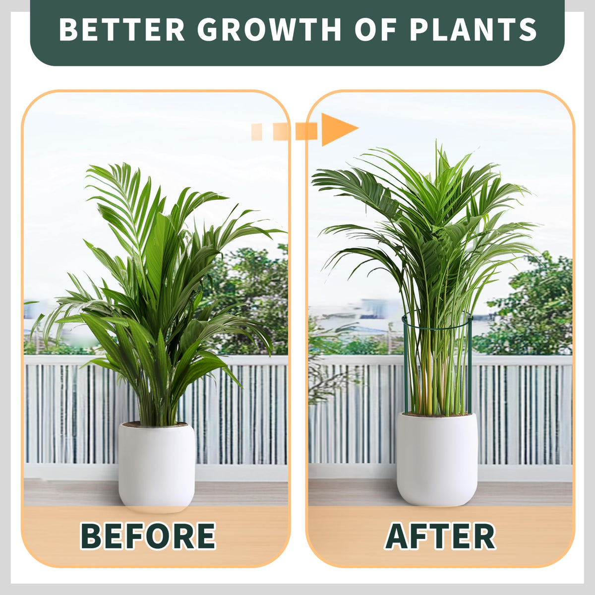 TCBWFY twist ties included help secure stems without damage