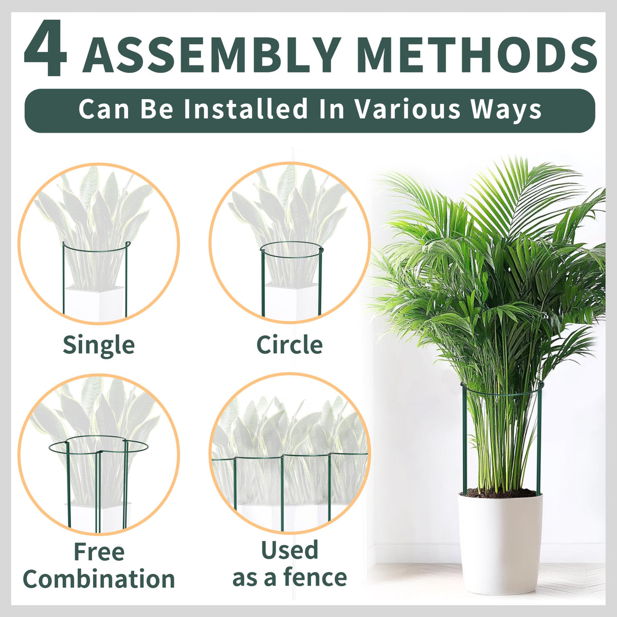 TCBWFY 4.5mm-wire stake supports heavy blooms like roses and peonies