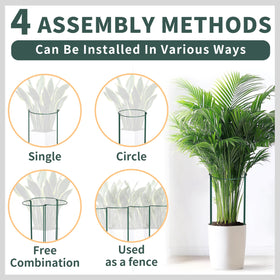 TCBWFY 4.5mm-wire stake supports heavy blooms like roses and peonies