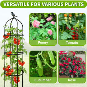 TCBWFY sturdy 6ft design anchors in soil or pots for reliable support.