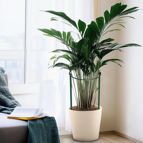 TCBWFY easy-install detachable half-round design simplifies seasonal setup.