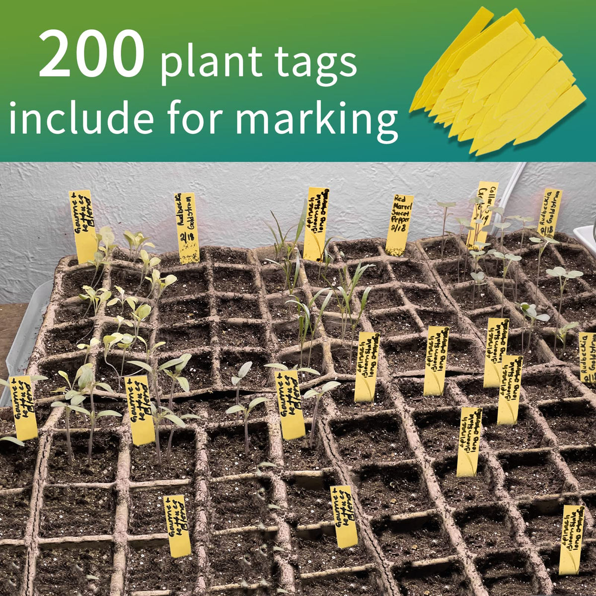 TCBWFY easy transplant system minimizing root disturbance during pot transfer