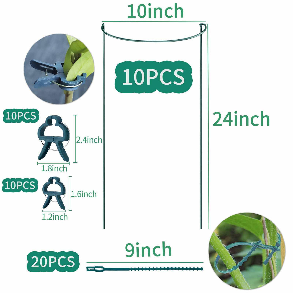 TCBWFY green steel plant cage 10x24 fits a variety of plants