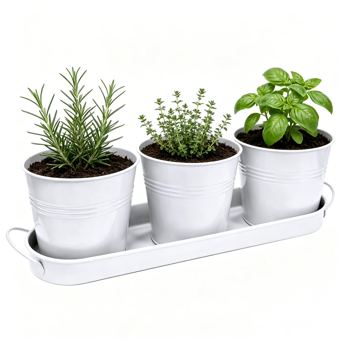 TCBWFY indoor herb planter-set with three white metal pots for neat windowsill gardening