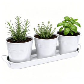 TCBWFY indoor herb planter-set with three white metal pots for neat windowsill gardening