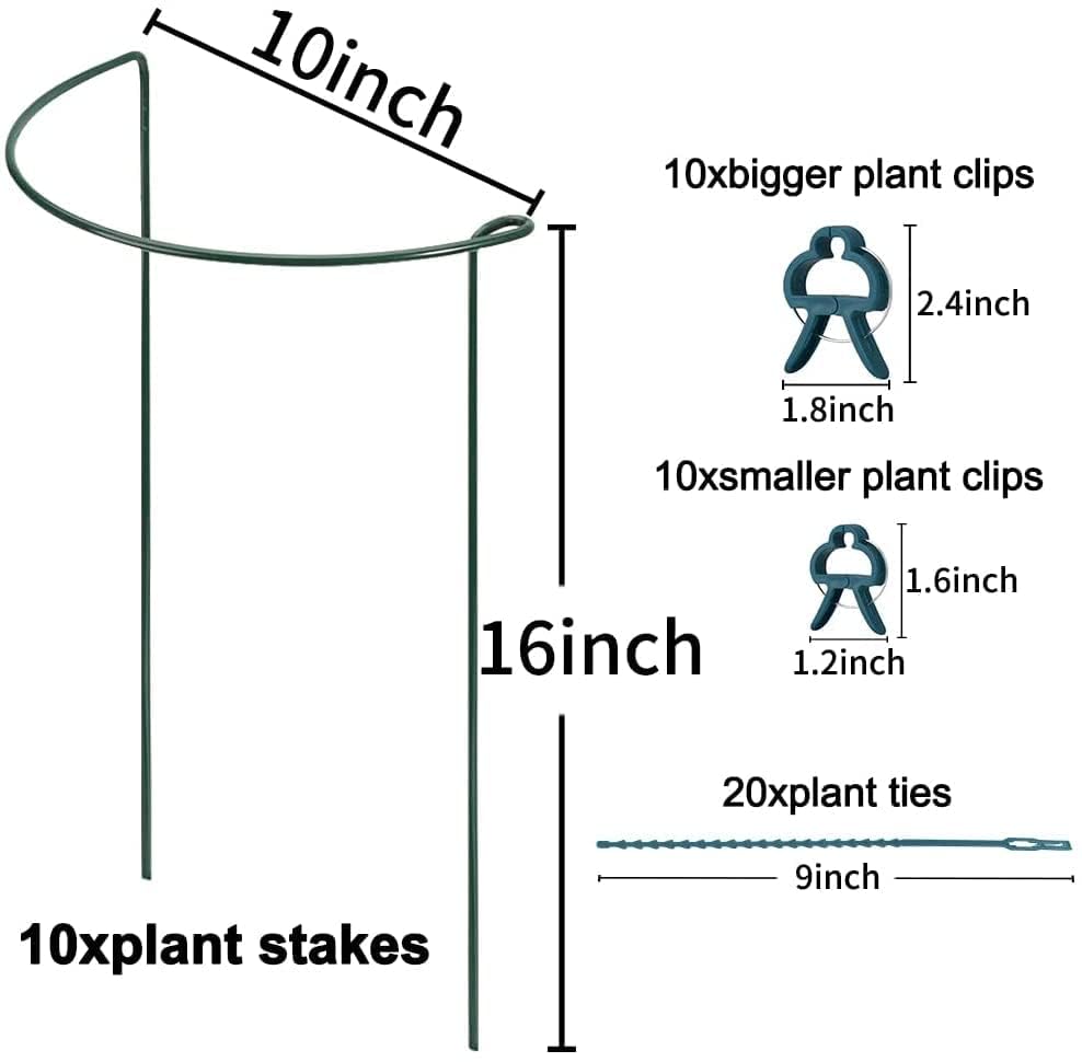 Interlinked half-round ring cage by TCBWFY framing a plant border