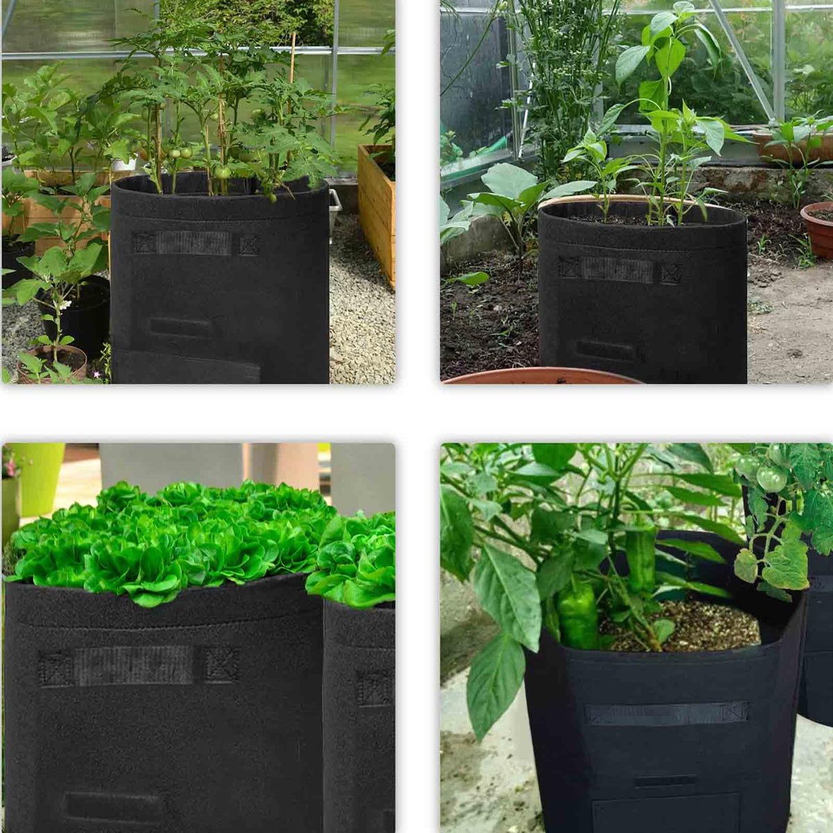 TCBWFY versatile planter for potatoes tomatoes and vegetables