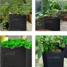TCBWFY versatile planter for potatoes tomatoes and vegetables