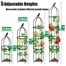 TCBWFY obelisk trellis with upgraded bumps guides plants upward for strong climbs.