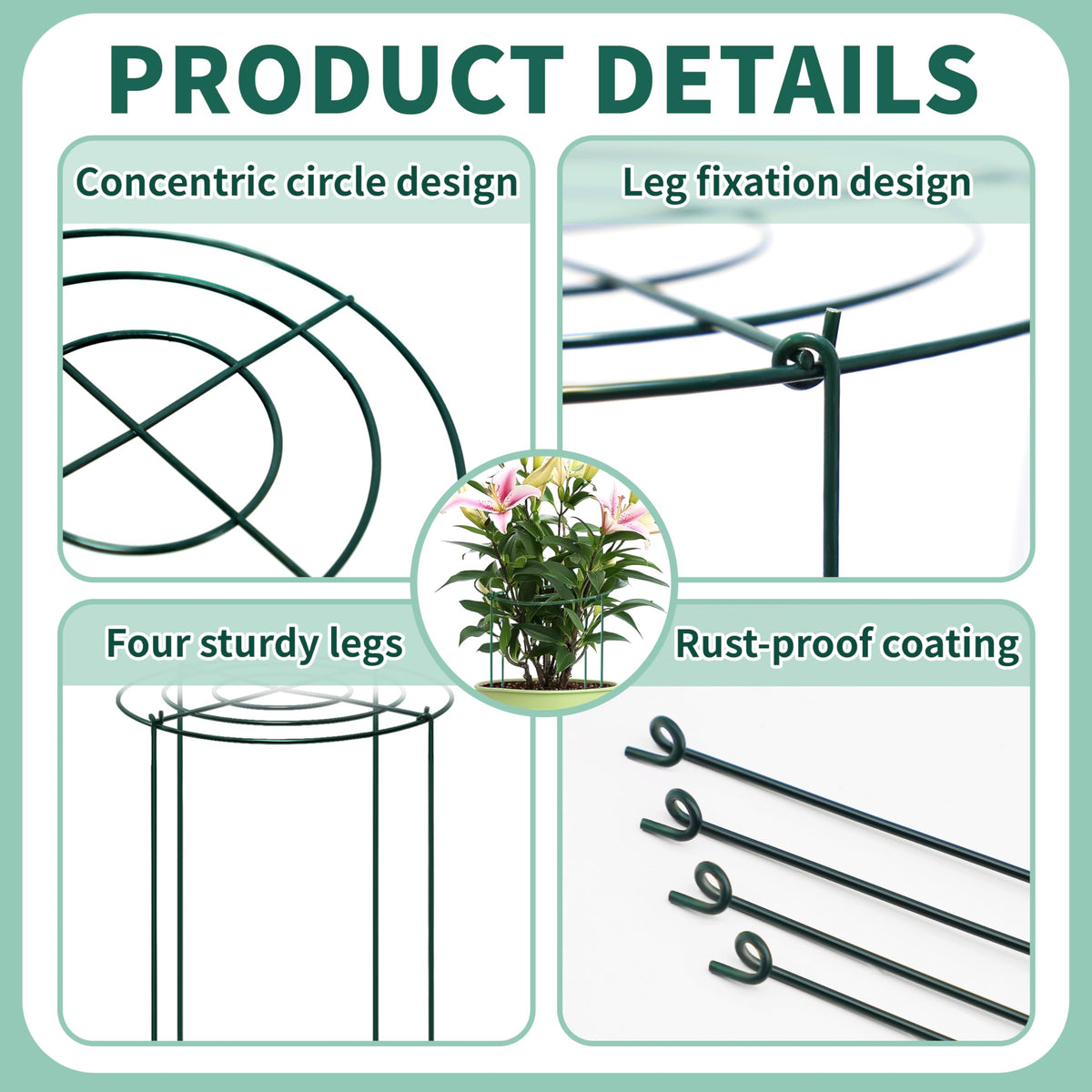 TCBWFY grid design promotes upright growth and neat display.