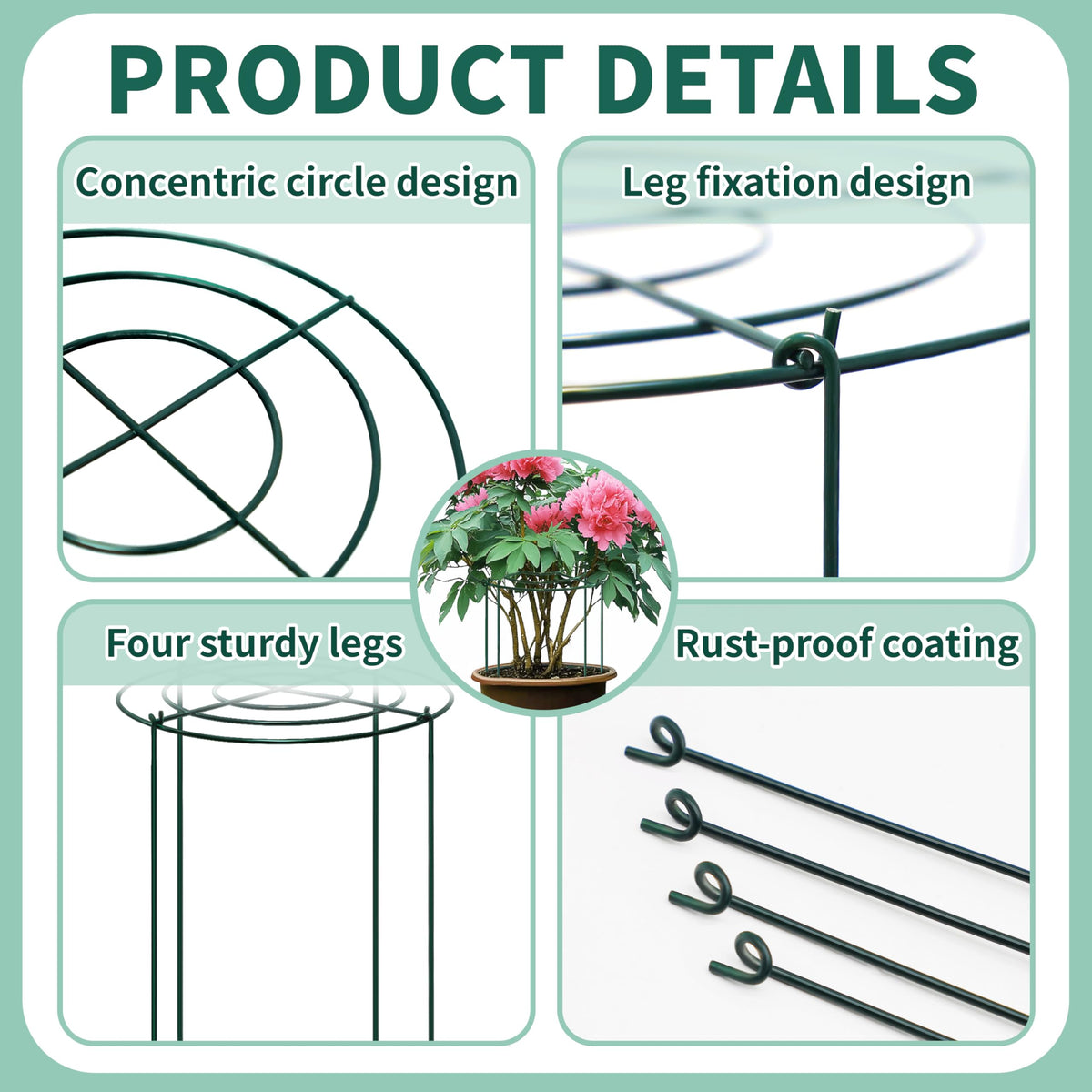 TCBWFY peony cage assembly demonstrates quick setup