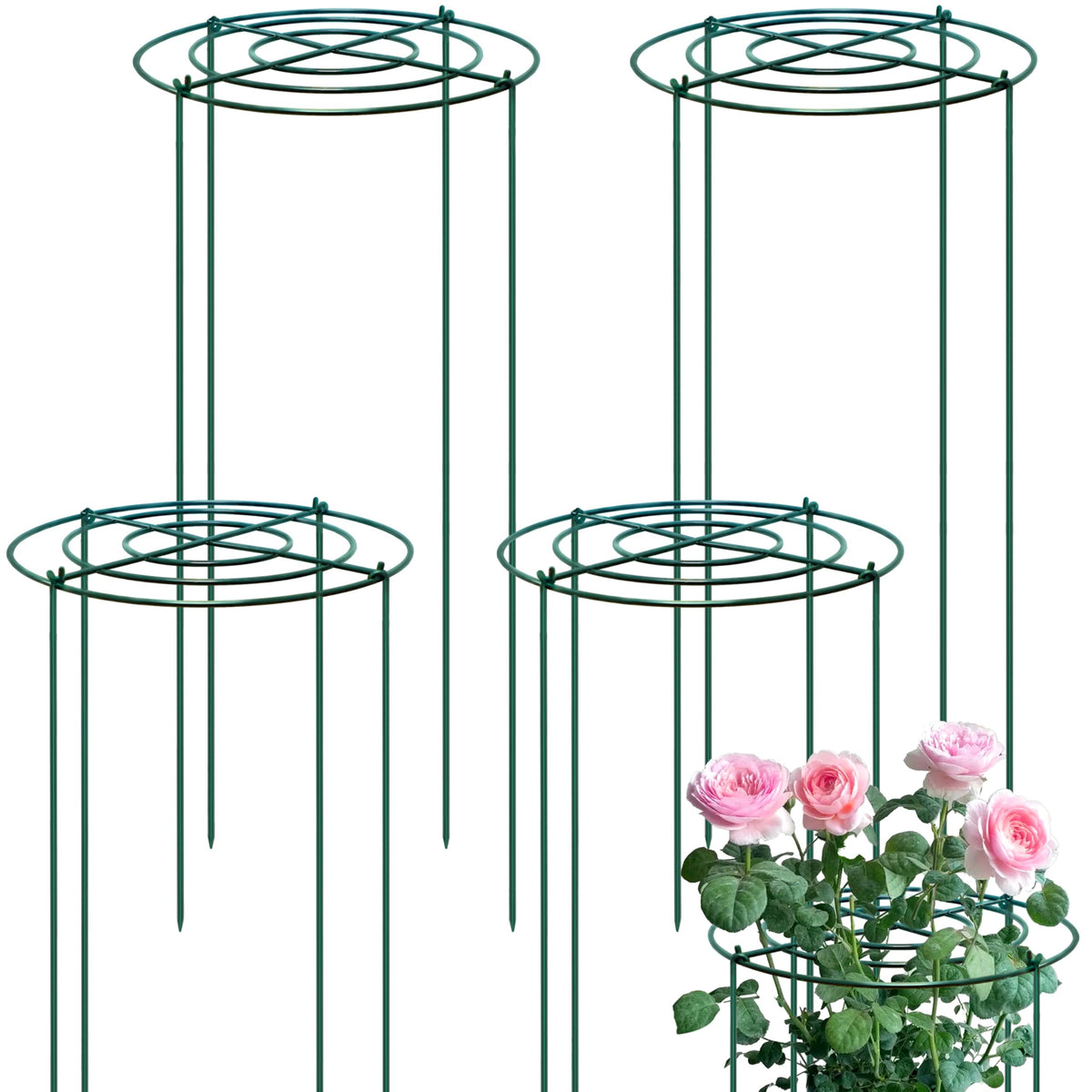 TCBWFY peony cage with a 14-inch ring supports tall blooms securely.