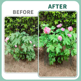 TCBWFY peony cage suitable for indoors and outdoors garden use