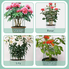 TCBWFY peony cage packaging includes four cages