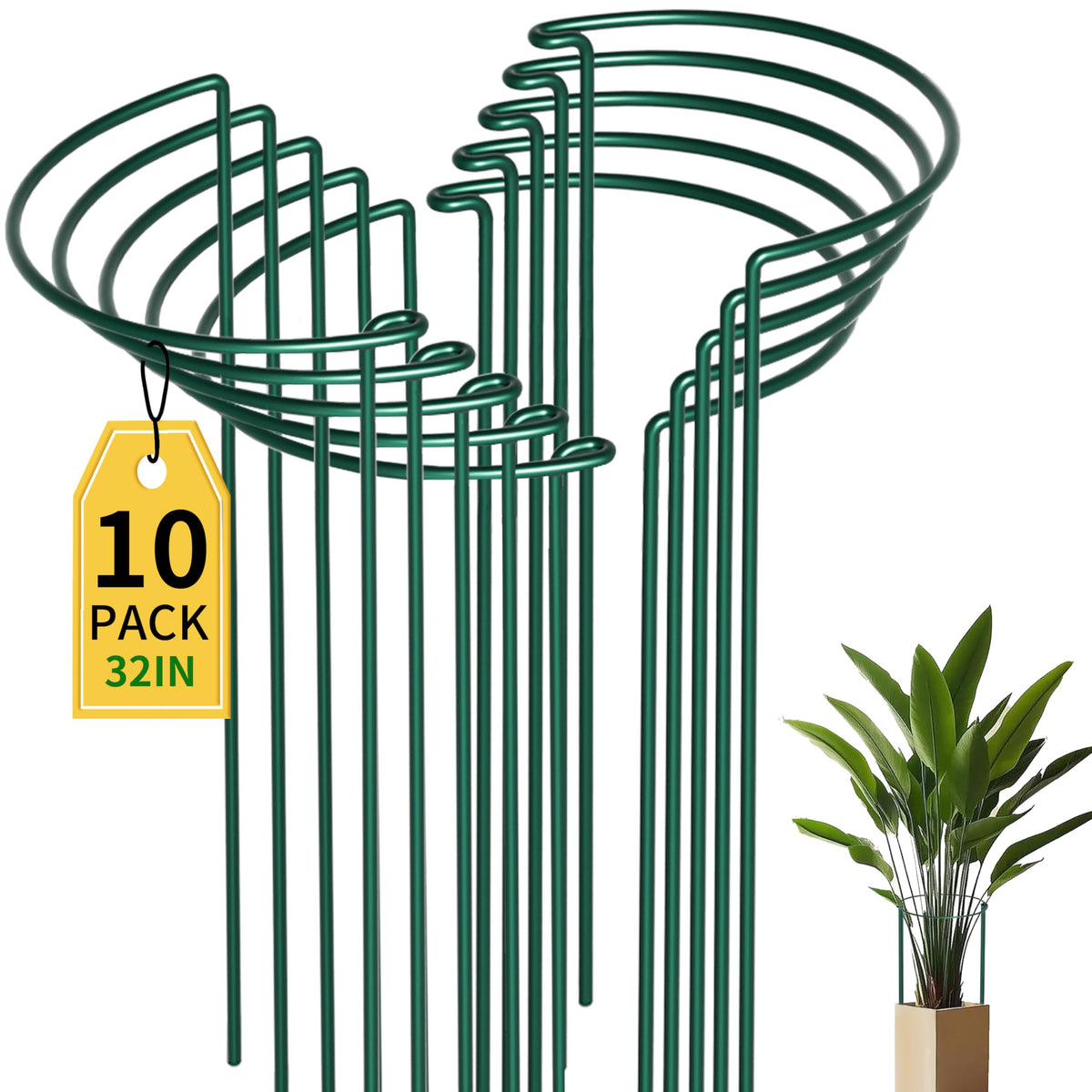TCBWFY plant support cage supports a tall peony for upright growth