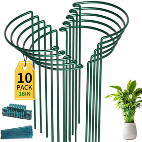 TCBWFY plant support stakes showing 10-inch width and 16-inch height in a garden layout